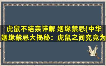 虎鼠不结亲详解 姻缘禁忌(中华姻缘禁忌大揭秘：虎鼠之间究竟为何不能相配？)